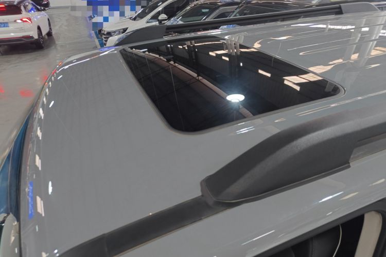 Used Tank 300 2024 2.0T Conqueror Roof