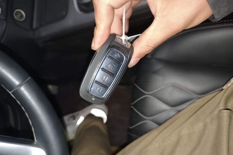 Used Tank 300 2024 2.0T Challenger Vehicle Key