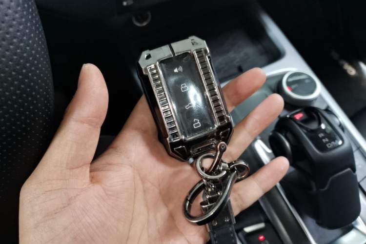 Used Tank 300 2024 2.0T Conqueror Vehicle Key