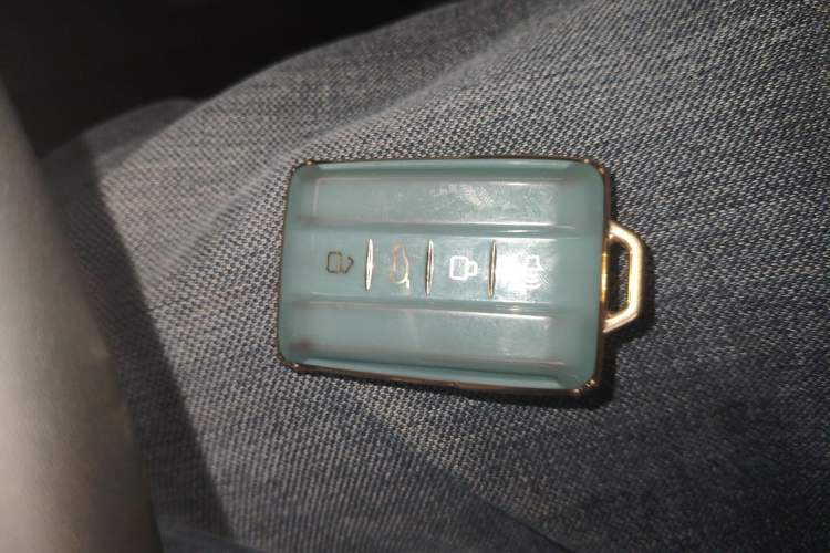 Used Tank 300 2024 2.0T Conqueror Vehicle Key
