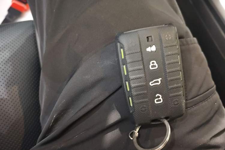 Used Tank 300 2024 2.0T Crosser Vehicle Key