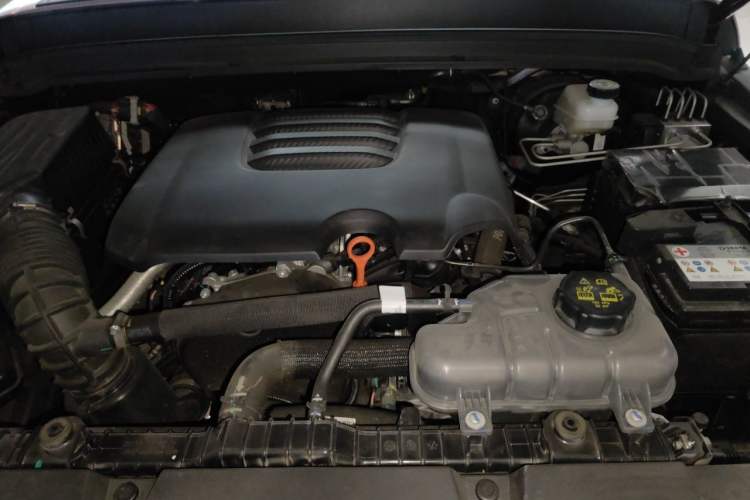 Used Tank 300 2024 2.0T Conqueror Engine Bay