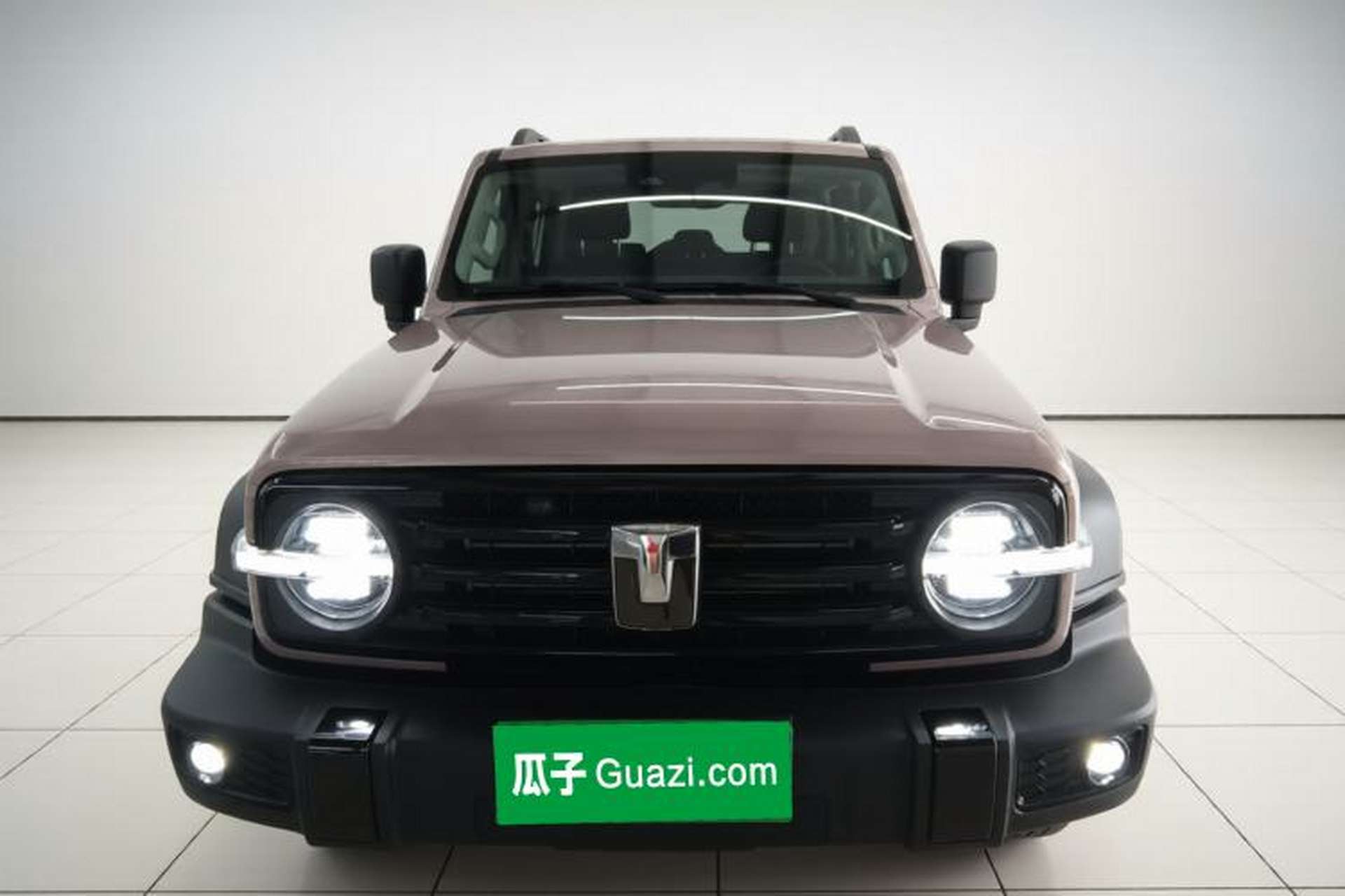 Used Tank 300 2024 2.0T Conqueror Front