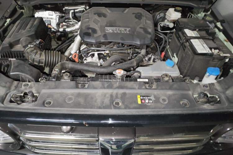 Used Tank 300 2024 2.0T Crosser Engine Bay