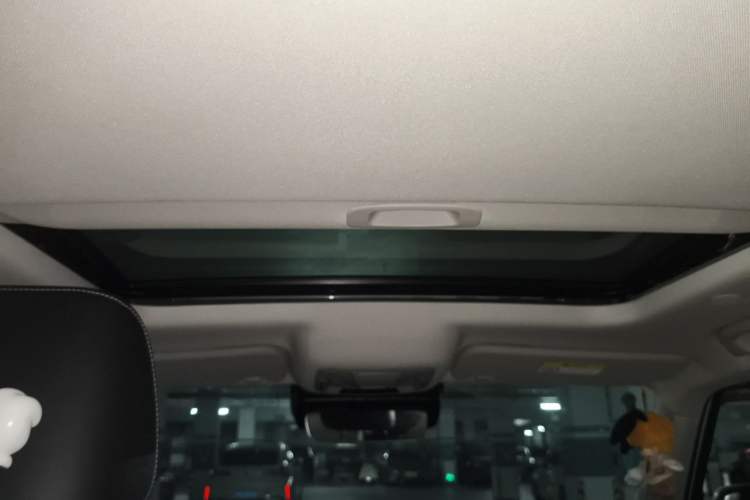 Used Tank 300 2024 2.0T Crosser Headliner