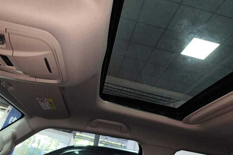 Used Tank 300 2024 2.0T Conqueror Headliner
