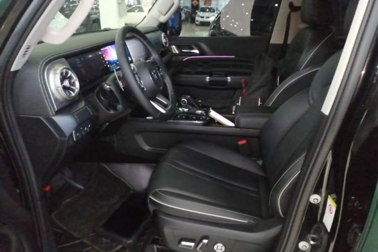 Used Tank 300 2024 2.0T Conqueror Left Front Seat