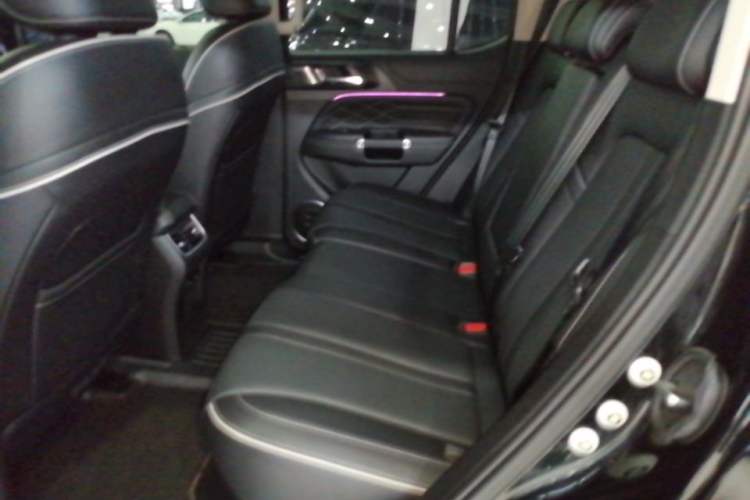 Used Tank 300 2024 2.0T Conqueror Left Rear Seat