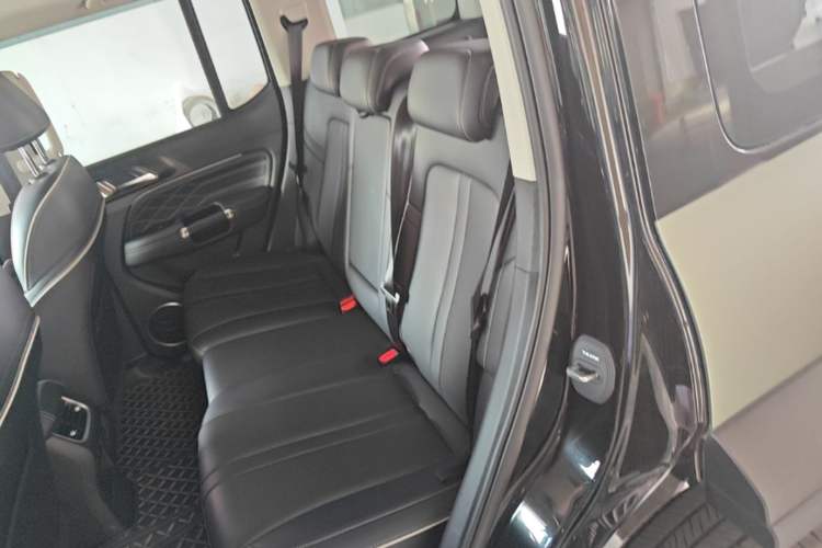 Used Tank 300 2024 2.0T Conqueror Left Rear Seat