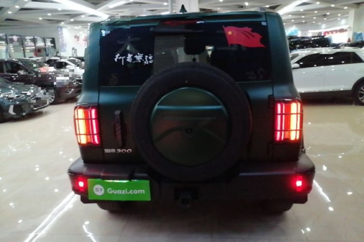 Used Tank 300 2024 2.0T Conqueror Rear