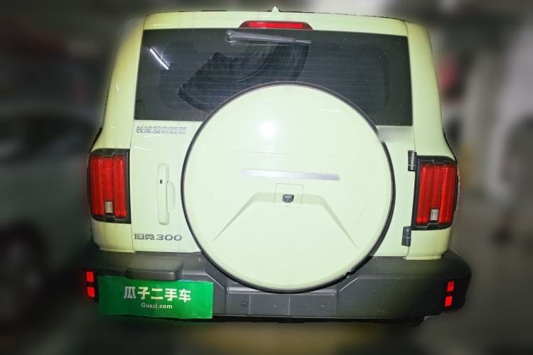Used Tank 300 2024 2.0T Crosser Rear