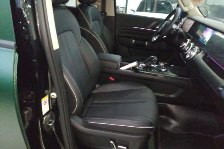 Used Tank 300 2024 2.0T Conqueror Right Front Seat