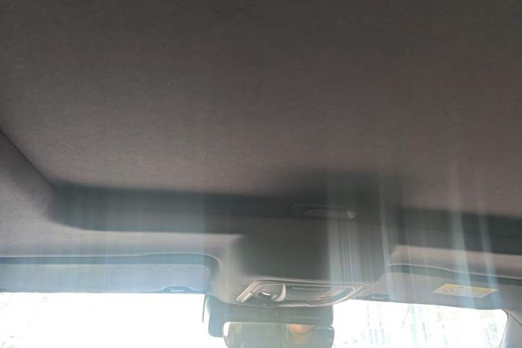Used Tank 300 2024 2.0T Conqueror Headliner