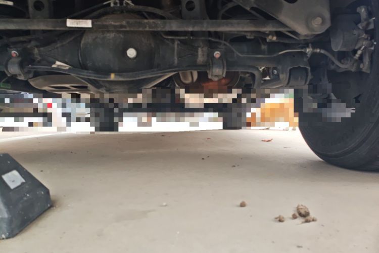 Used Tank 300 2024 2.0T Conqueror Chassis Rear