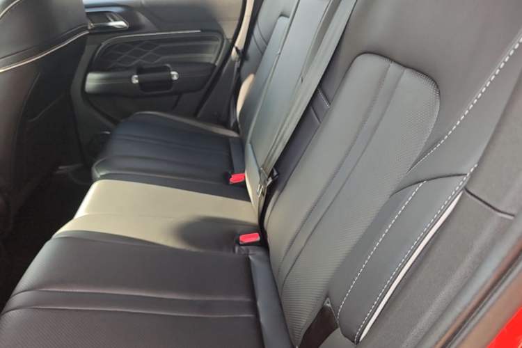 Used Tank 300 2024 2.0T Conqueror Left Rear Seat