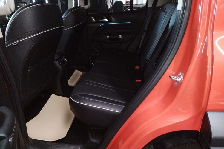 Used Tank 300 2024 2.0T Conqueror Left Rear Seat