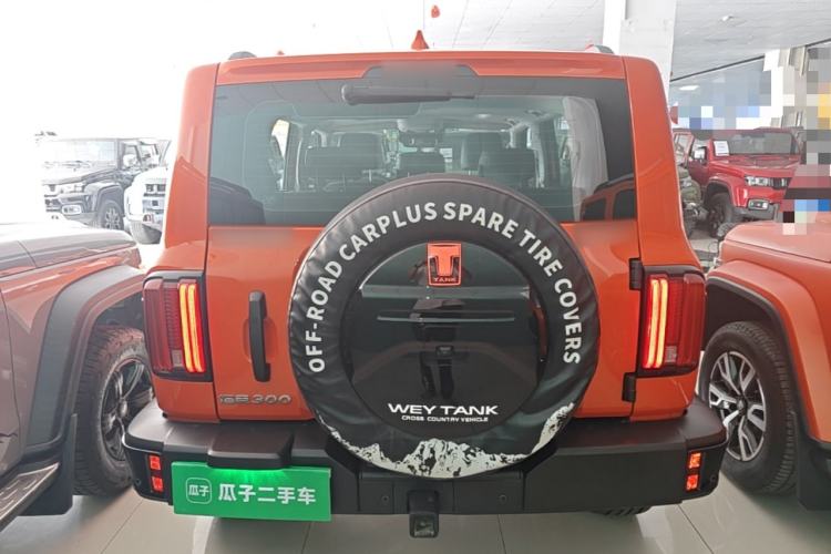 Used Tank 300 2024 2.0T Conqueror Rear