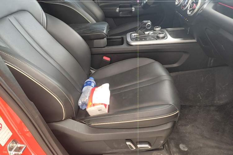 Used Tank 300 2024 2.0T Conqueror Right Front Seat