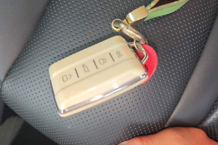 Used Tank 300 2024 2.0T Conqueror Vehicle Key