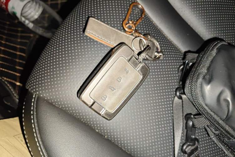 Used Tank 300 2024 2.0T Conqueror Vehicle Key
