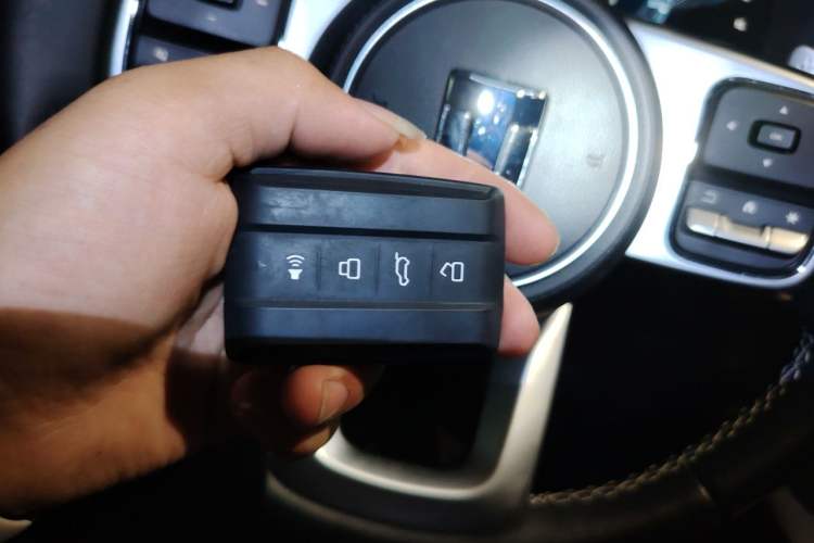 Used Tank 300 2024 2.0T Conqueror Vehicle Key