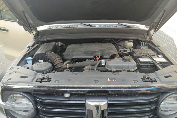 Used Tank 300 2024 2.0T Conqueror Engine Bay