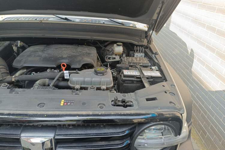 Used Tank 300 2024 2.0T Conqueror Engine Bay Left
