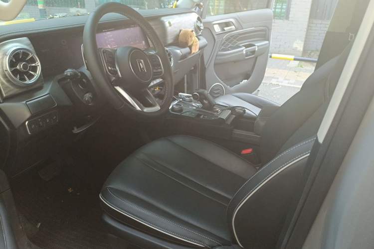 Used Tank 300 2024 2.0T Conqueror Left Front Seat