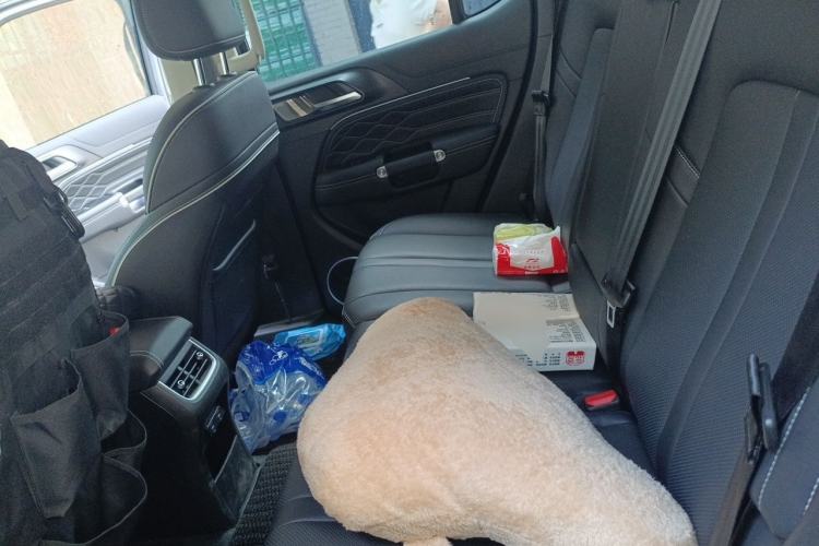 Used Tank 300 2024 2.0T Conqueror Left Rear Seat