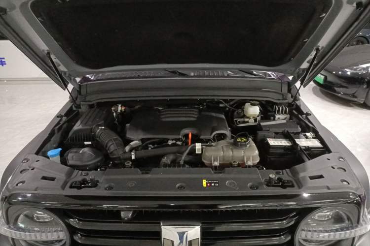 Used Tank 300 2024 2.0T Conqueror Engine Bay