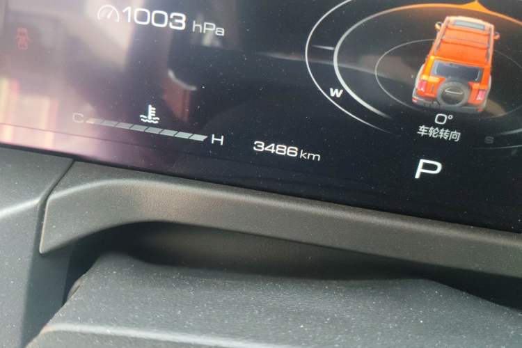 Used Tank 300 2024 2.0T Challenger Odometer Close Up