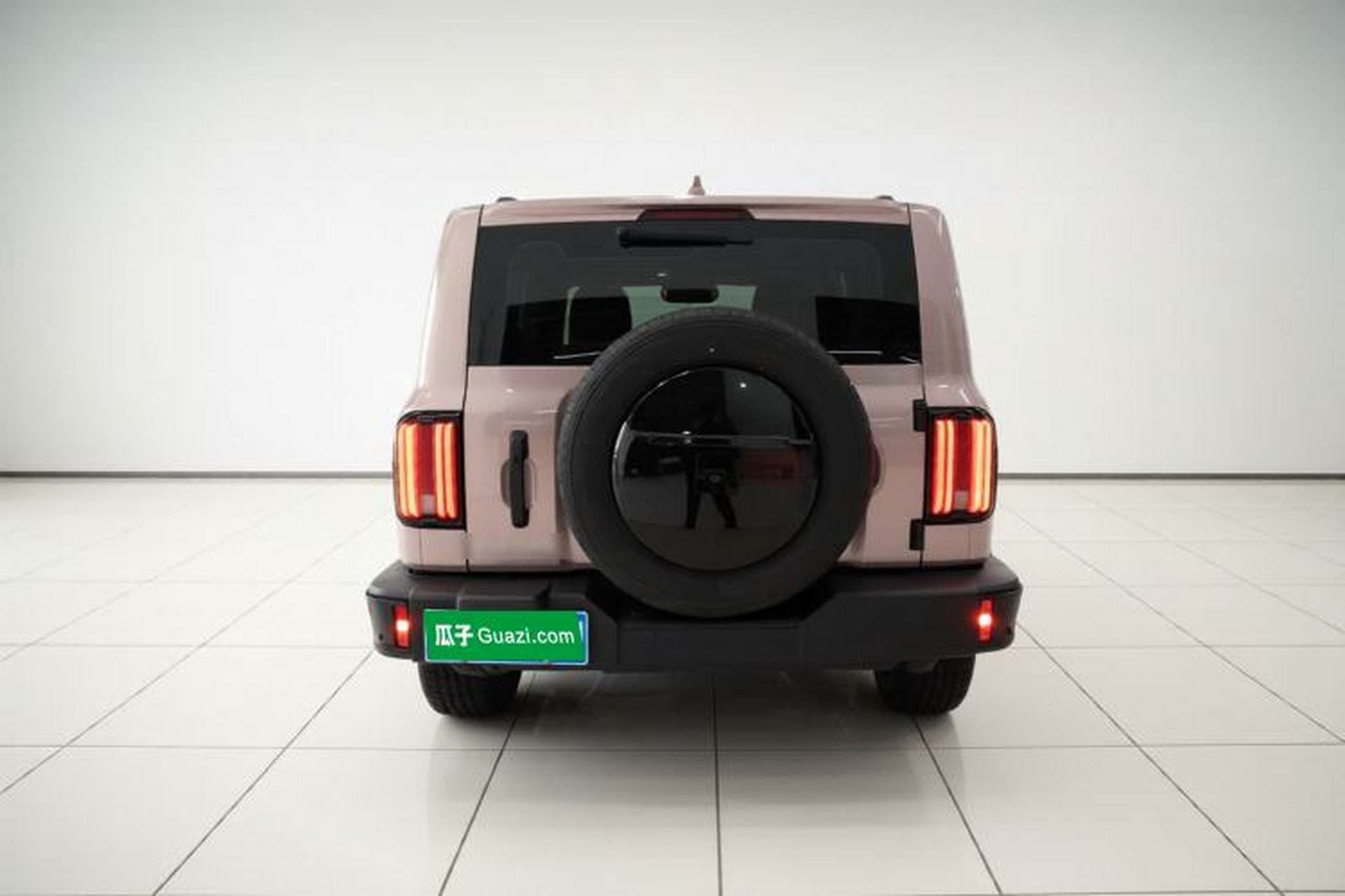 Used Tank 300 2024 2.0T Conqueror Rear