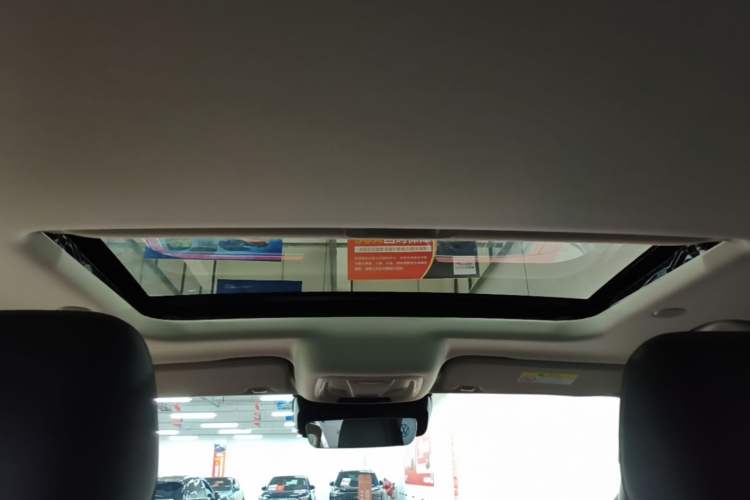 Used Tank 300 2024 2.0T Crosser Headliner