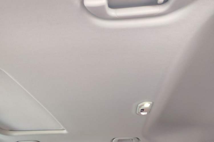 Used Tank 300 2024 2.0T Conqueror Headliner