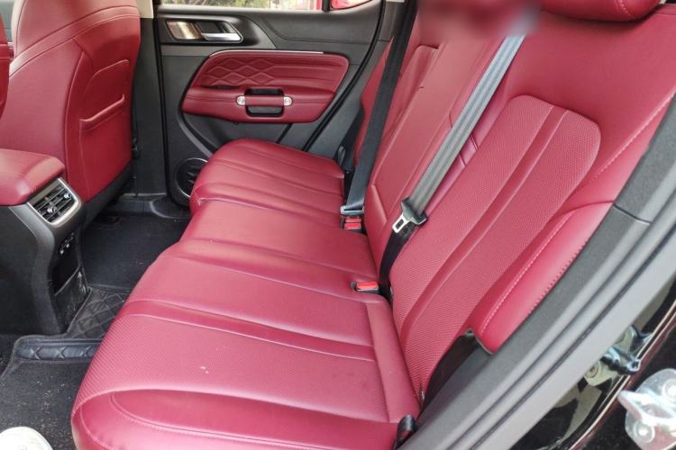 Used Tank 300 2024 2.0T Conqueror Left Rear Seat