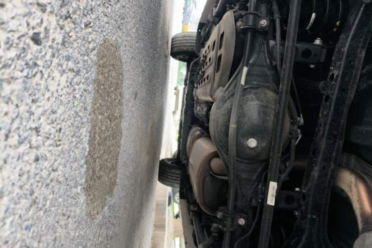 Used Tank 300 2024 2.0T Conqueror Chassis Rear