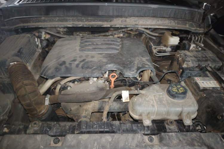 Used Tank 300 2024 2.0T Conqueror Engine Bay