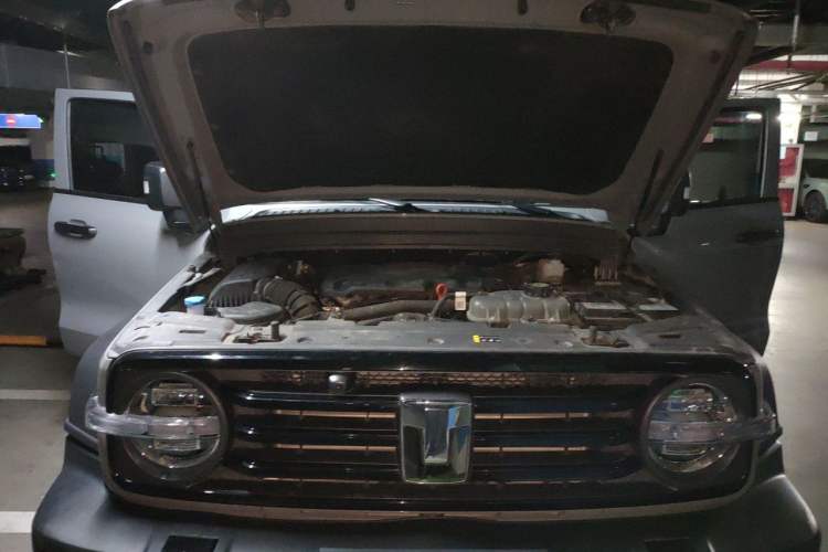 Used Tank 300 2024 2.0T Challenger Engine Bay