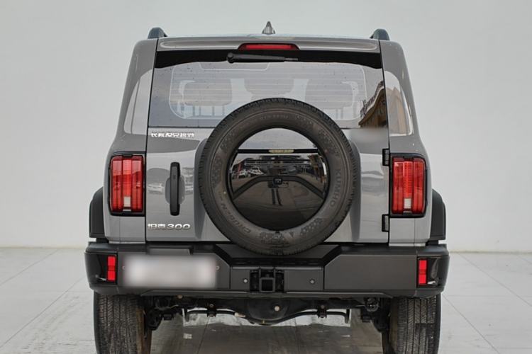 Used Tank 300 2024 2.0T Conqueror Exterior 4