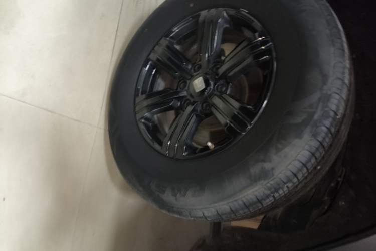 Used Tank 300 2024 2.0T Conqueror Exterior 5
