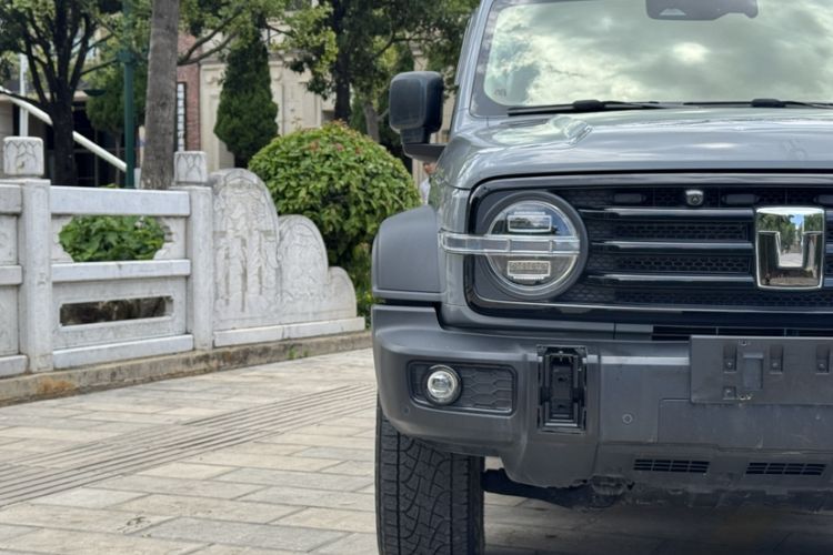 Used Tank 300 2024 2.0T Conqueror Exterior 5