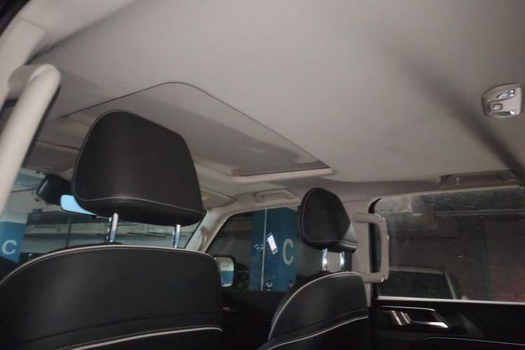 Used Tank 300 2024 2.0T Conqueror Headliner