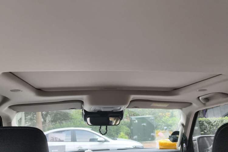 Used Tank 300 2024 2.0T Crosser Headliner