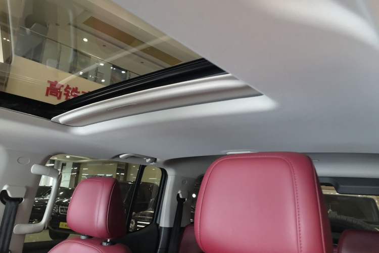 Used Tank 300 2024 2.0T Conqueror Headliner