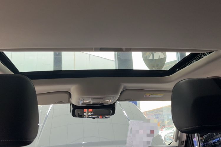 Used Tank 300 2024 2.0T Conqueror Headliner