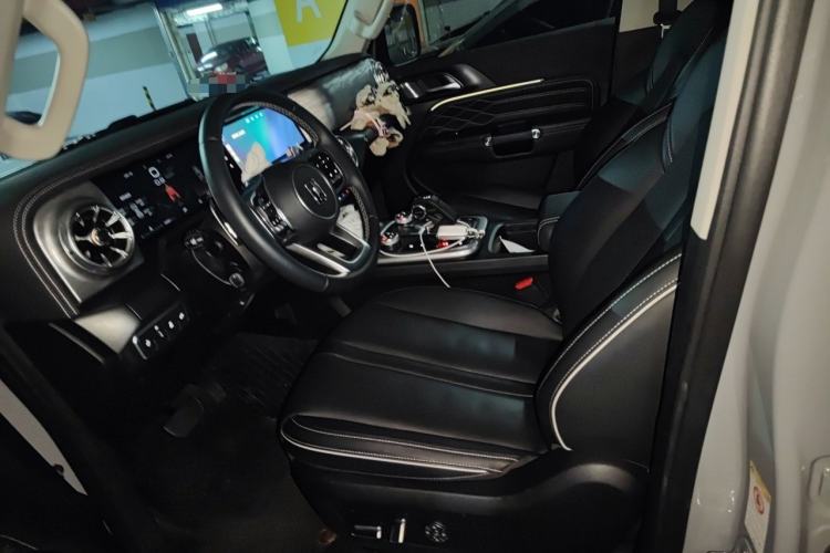 Used Tank 300 2024 2.0T Conqueror Left Front Seat