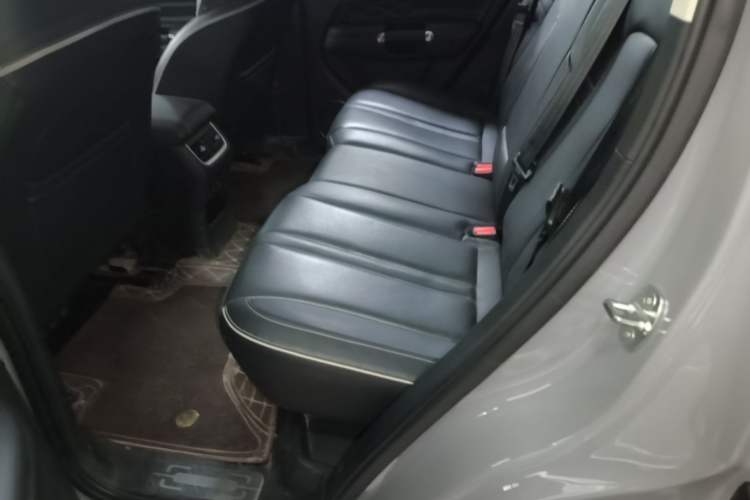 Used Tank 300 2024 2.0T Conqueror Left Rear Seat