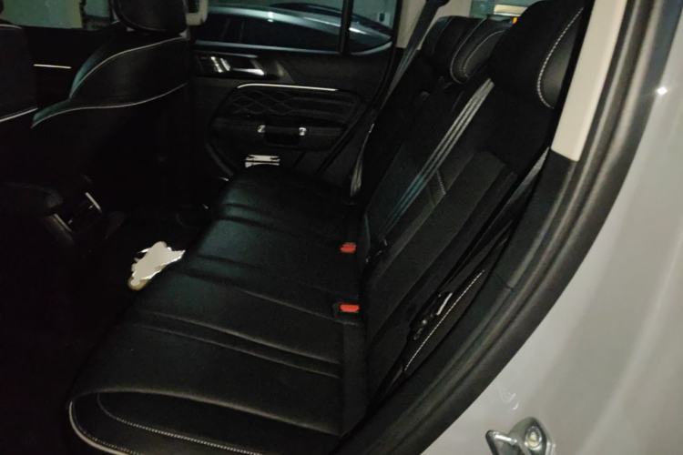 Used Tank 300 2024 2.0T Conqueror Left Rear Seat