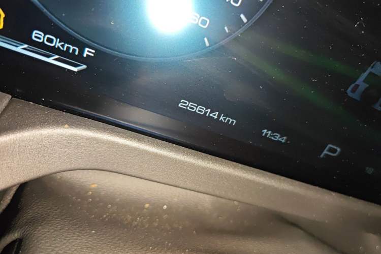 Used Tank 300 2024 2.0T Crosser Odometer Close Up