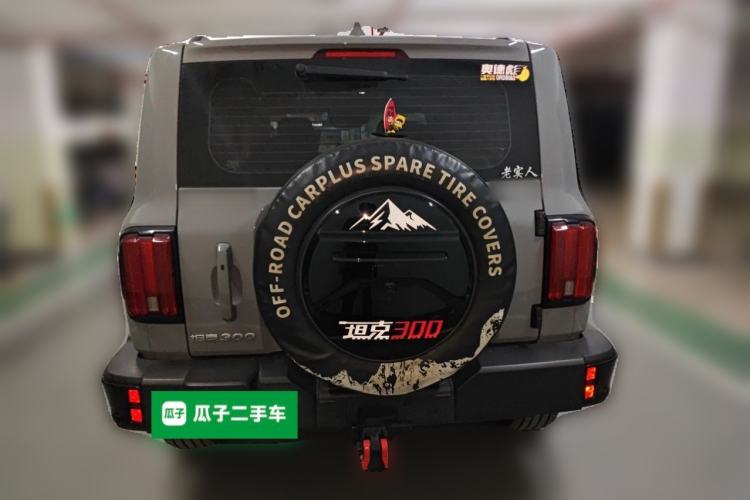 Used Tank 300 2024 2.0T Crosser Rear